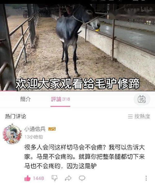 放鸽子词语解释是什么,放鸽子是什么意思啊？