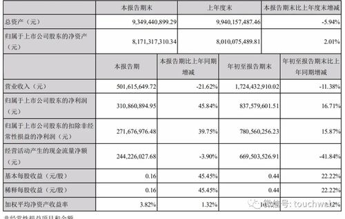 红墙股份：上半年扣除非经常性损益后净利润增长98.48%