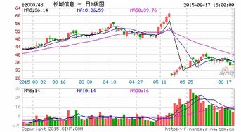 长城信息为什么停牌