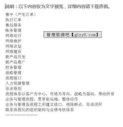 某着名通讯公司流程重组与IT规划