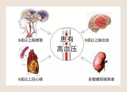 高血压 心脏病 肝病 糖尿病 肾病等慢性病患者能服用参蛾温肾口服液不？