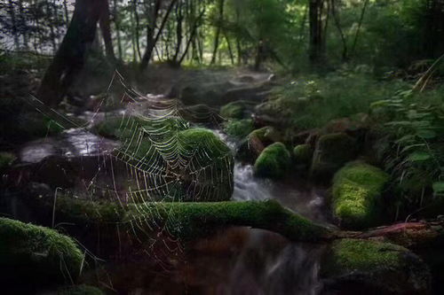 沈阳出发天天发 本溪关门山一日游 