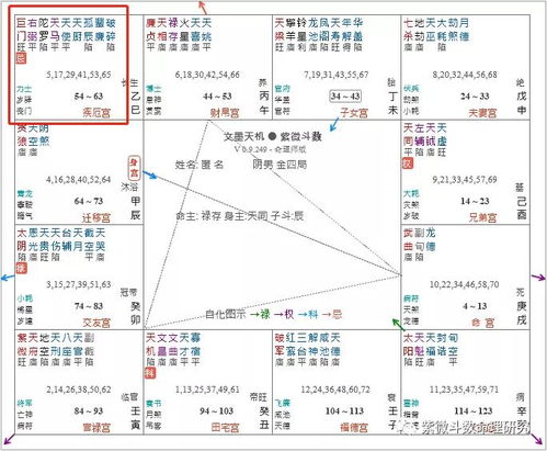 紫微斗数全书 太微赋 禄存守于田财,堆金积玉 财荫坐于迁移,巨商高贾 官符 