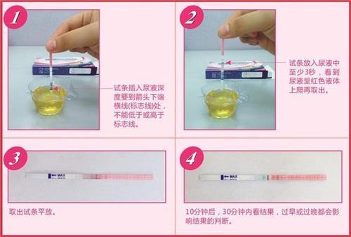 排卵期测试(如何用排卵试纸确定排卵期需要如何检测呢)