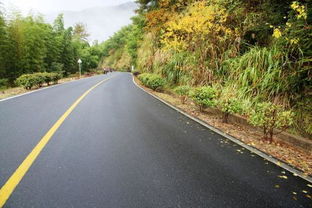 什么是公路 什么叫道路 它们之间有什么区别 