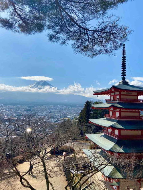 东京 富士山旅游攻略分享