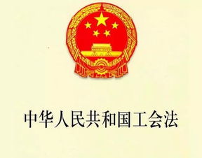 持股型公司定义