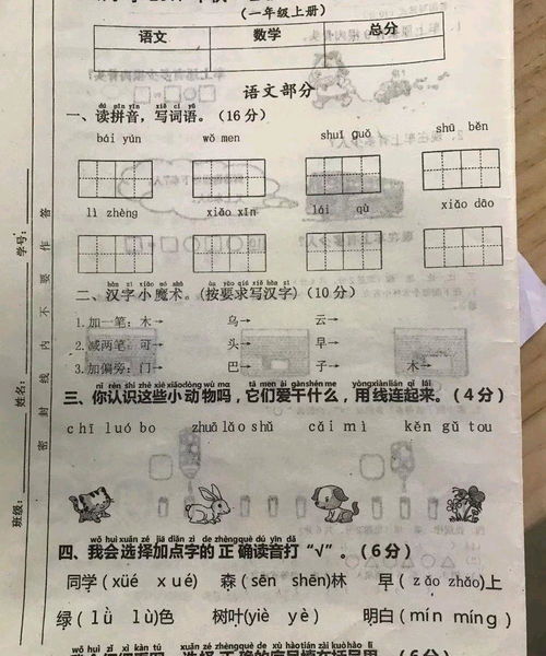 如今小学一年级的考试题,你会做几道