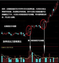 N金创今天有没有涨停