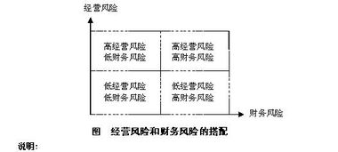 风险经营是什么？就是经营风险吗？