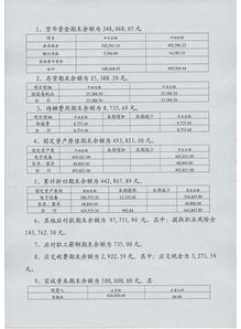 一人有限责任公司年低财务报表不经会计师事务所审计的后果