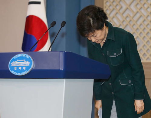 朴槿惠用七亿韩元到底买了什么衣服 