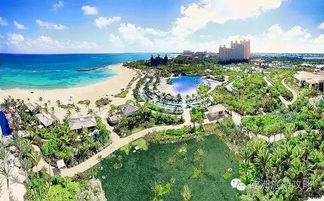猪岛 粉色沙滩 迷宫酒店,那个叫巴哈马的天堂有话要说