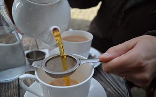 什么时候喝小白茶好,白茶适合什么时候喝?