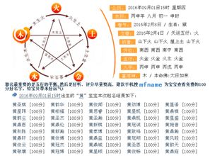 2016年12月10日9点出生,男孩,叫什么名字好,王姓