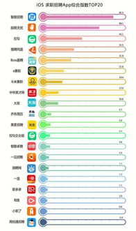 垂直 精细化已成在线招聘领域发力新方向