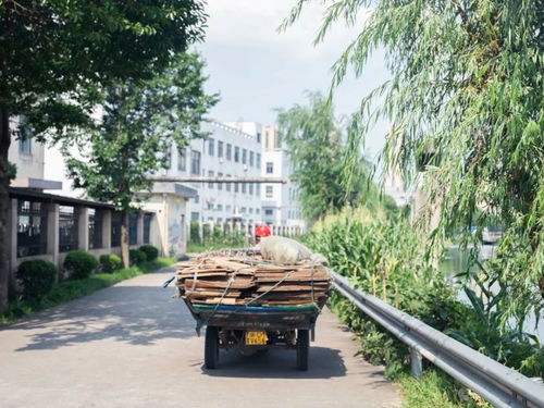 仙游跟枫亭哪个经济好