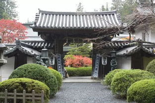 红叶宿坊 除了酒店和民宿,日本的寺院住起来更有趣 高野山 