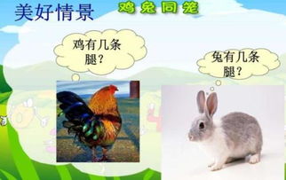 鸡与兔共有100只,鸡的脚比兔的脚多80只,问鸡与兔各多少只 