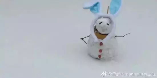 天津人把雪 玩 坏了 13日晚更大的雪要来