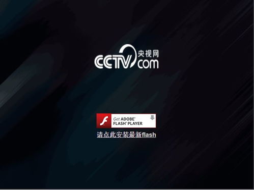 这个中国特供版 Flash,我真的是受够了