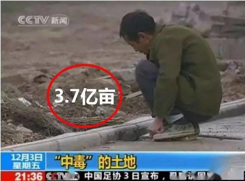 震感 约3.7亿亩耕地,需要进行土壤改良