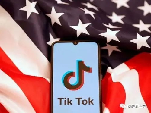 什么是TikTok企业账户_tiktok跨境独立站搭建