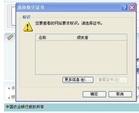 为什么打不开网银 农 的支付页面 