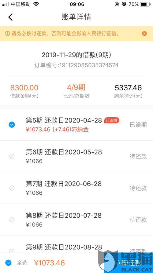 新网银行授权还款金额是什么（网贷出现的）会不会要还这些钱？