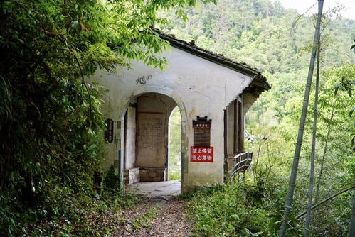 如果去那些无人村居住（隐居），会不会违法，镇府会不会来驱赶