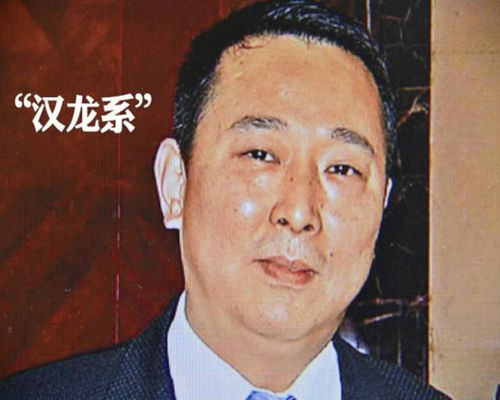 广汉枭雄 刘汉 身家160亿,汶川地震捐5000万,后被判处死刑