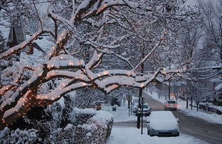 论天气我只服石家庄 最高10 降温 下雪 这些事要注意 