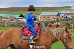 呼伦贝尔草原最适合亲子游的几个地方,旅游攻略 