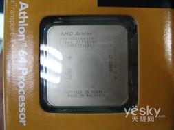 AMD的le1300、2650e、3250e