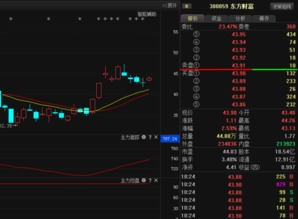 为什么东方财富网个股大单成交和股市实际成交不一致