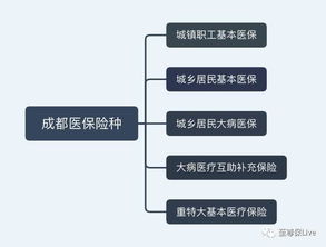 职工医疗保险包含什么险种 (职工医疗保险大病包含什么)