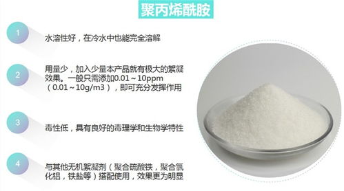 聚丙火希最新行情