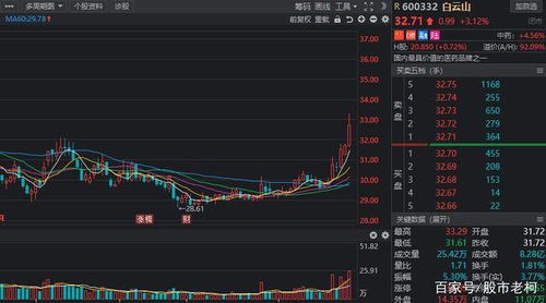 深圳股市的五朵金花是指哪五家上市公司