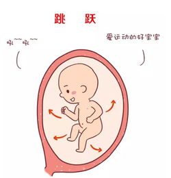 宝宝胎心？宝宝的胎心在哪个位置该如何感受宝宝胎动