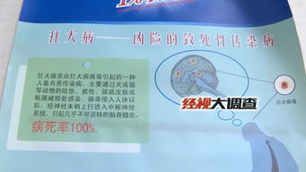 湖南7岁男童校外被狗咬 狂犬病 发身亡,已注射 血清与疫苗 为何仍发病