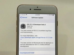 苹果iOS12.1.3测试版公布 速度提升明显