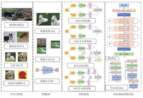 深度对比学习综述