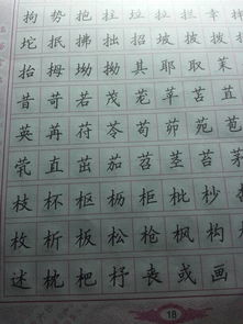 去书店买了一本字帖,邹慕白的,没练几天,贴吧里很多人都练田英章等一些大师的,我应不应该换一本 