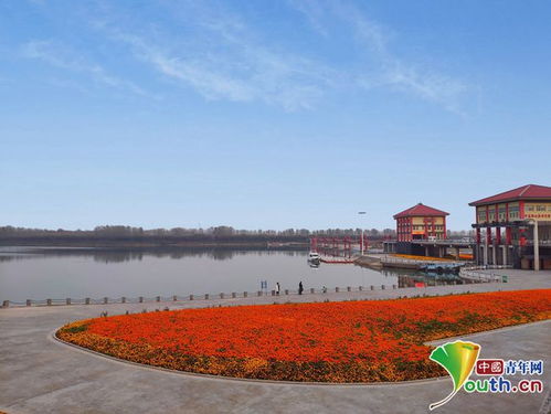 打卡邳州网红 后花园 ,一年接待游客达300万人次