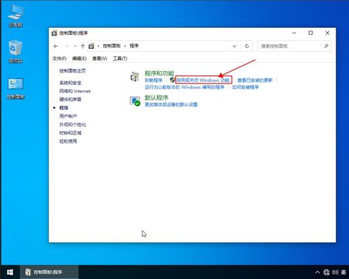 win10系统安装不上IE浏览器