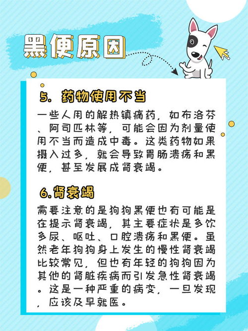 狗狗便血有几种原因  第2张