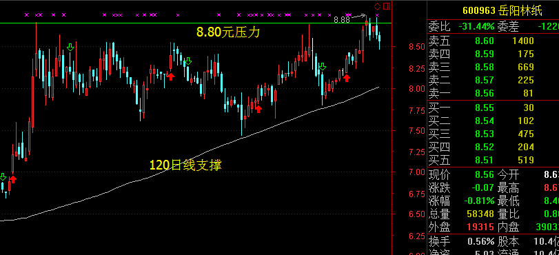 关于股票电话查询的问题