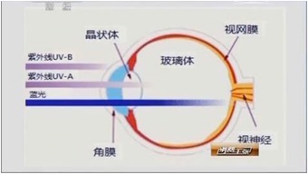 蓝光伤不伤 伤了也不方