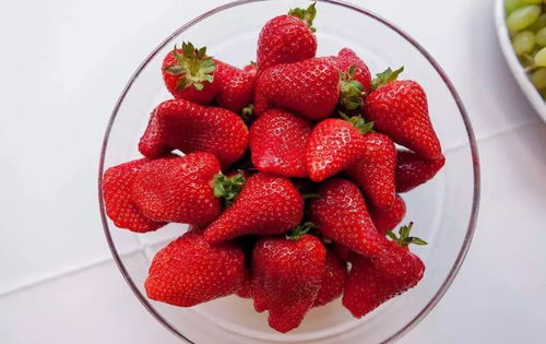 草莓怎么种又甜又大，草莓真甜摩羯座