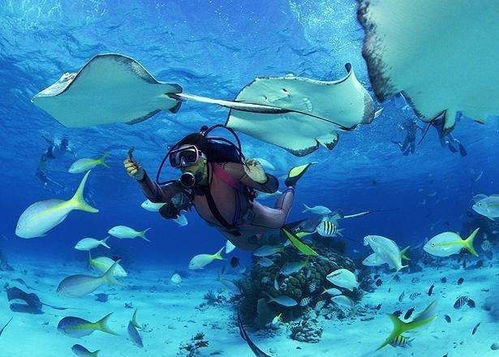 马尔代夫圣托里尼岛海滩潜水放松的理想度假胜地